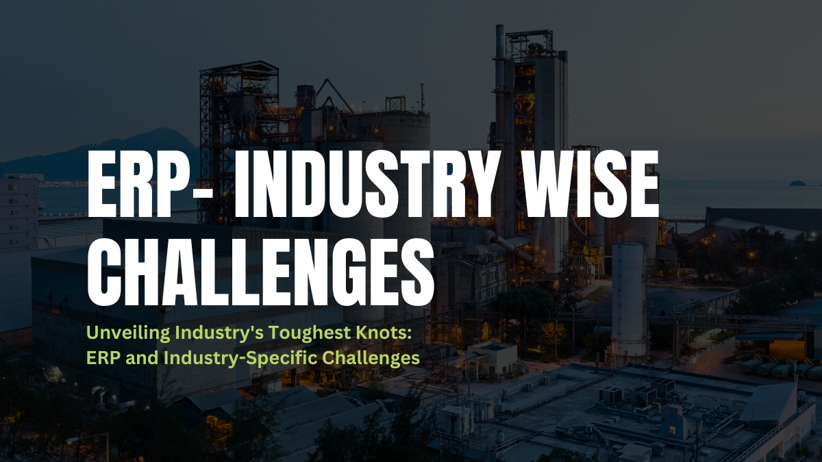 erp industry wise challenges